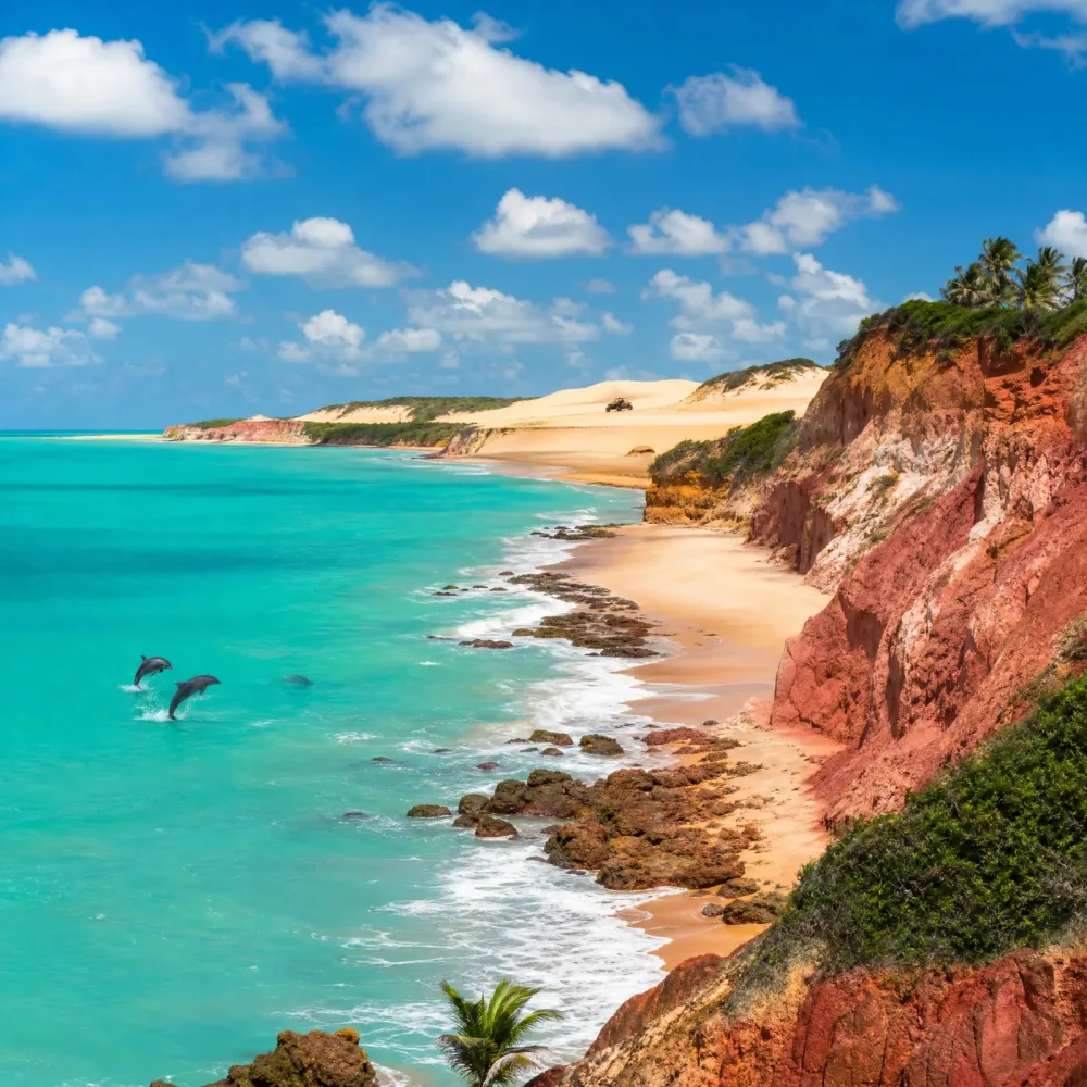 Natal & Praia de Pipa